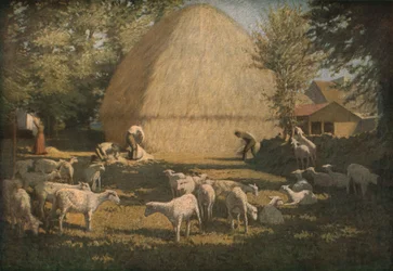 Tonte des moutons, 1901, vers 1930