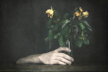 Main et roses fanées
