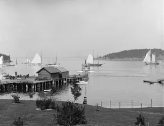 Bar Harbor, île de Mt. Desert, Maine, le port depuis Newport House, c.1901