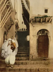 Rue des chameaux, Alger, vers 1899 (photochromie)