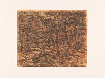 Paysage forestier