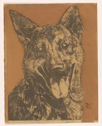 Chien Cees