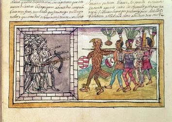 Codex Duran : Pedro de Alvarado (c.1485-1541) compagnon d