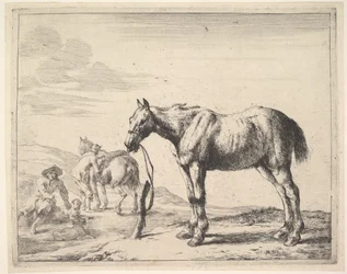 Cheval attaché à un poteau, tourné à gauche