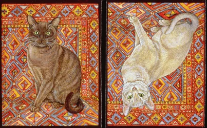 Patchwork de tapis birman