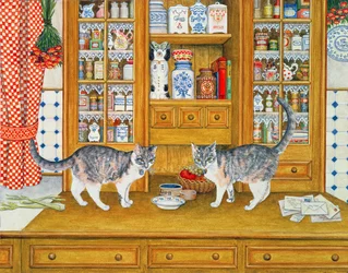 Chats de Dresser