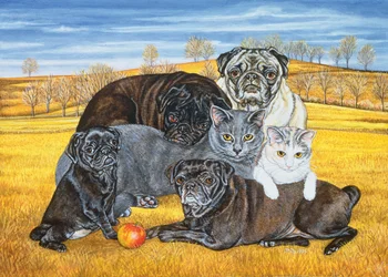 Chats-pugs du comté de Hocking, 1995