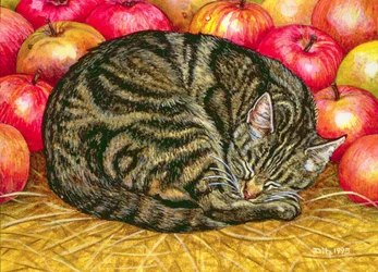Pomme-Gauche-Chat