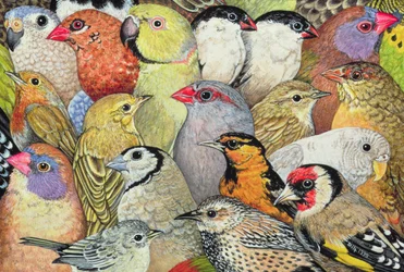 Oiseaux-Patchwork