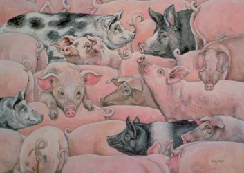 Cochon-Étalé