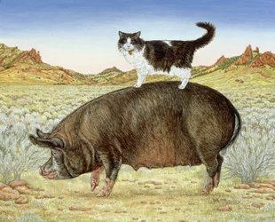 Balade à dos de cochon à Breteche Creek
