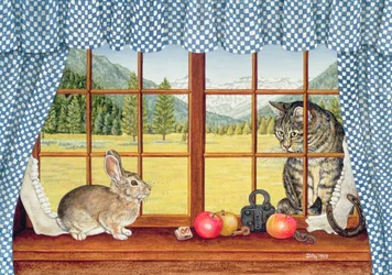 Lapin de Rimrock, 1993