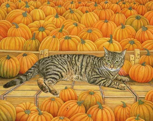 La Citrouille-Chat