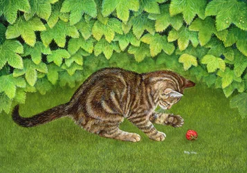 Le Chaton-Fraise