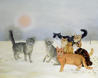Chats en hiver