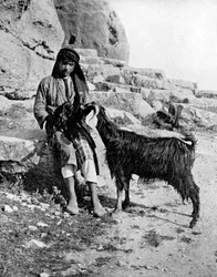 Garçon arabe et chèvre, Moyen-Orient, 1936