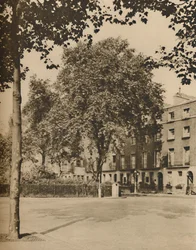 Au pays des pensions : Les platanes de Torrington Square, vers 1935