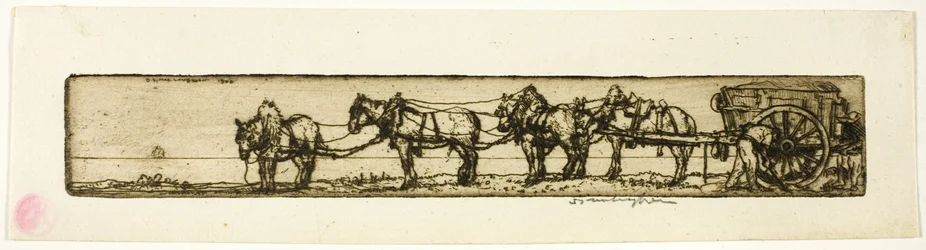 Chevaux de trait
