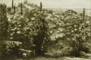 Ombres du soir