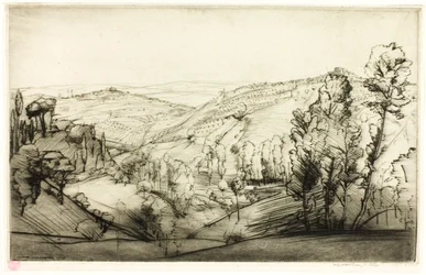 Champs de San Gimignano