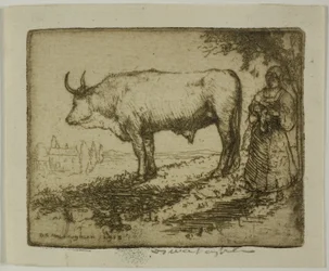 Le Bœuf blanc