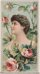 Rose mousse : Confession d