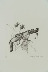 Pistolet à chargeur Smith et Wesson