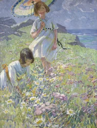 Le sommet de la falaise (huile sur toile)