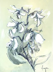 Esquisse florale blanche