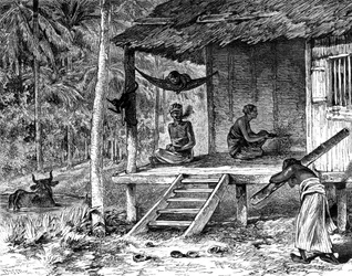 Hutte malaisienne, 19ème siècle