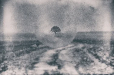 Le chemin vers l