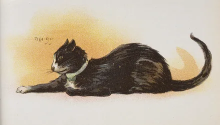 Un chat
