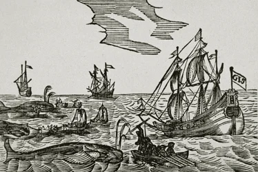 Navires baleiniers, du 