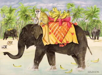 Éléphants avec des bananes, 1998