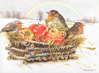 Rouges-gorges avec des pommes, 1997