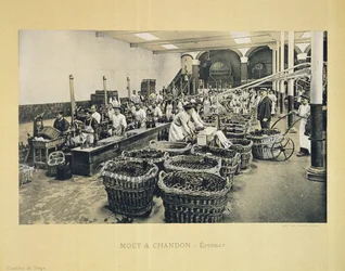 Mise en bouteille du champagne, de La France Vinicole, publié par Moet & Chandon, Epernay