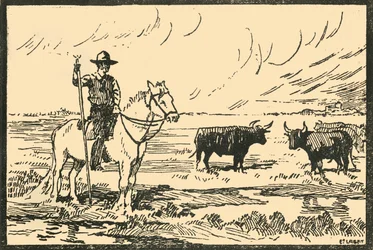 Paysage de Camargue