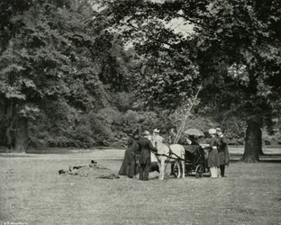 Sa Majesté plantant un arbre dans les jardins du palais de Buckingham en mémoire du jubilé, juin