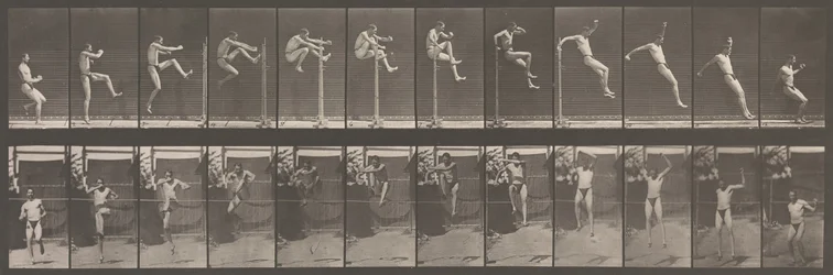 Locomotion animale. Une enquête électro-photographique sur les phases consécutives de l
