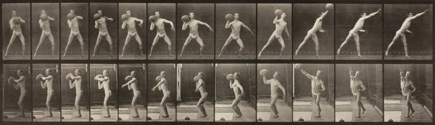 Locomotion animale, Planche 319, 1887