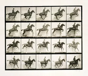 Homme et cheval sautant une clôture, 1887