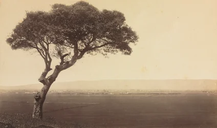 Paysage sans Titre près de Watsonville, Californie, vers 1879