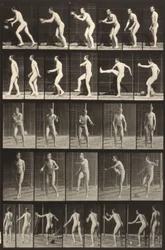 Locomotion animale (planche 300) (Homme tapant dans un ballon)