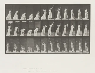 Animal Locomotion, Planche 305