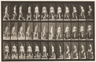Planche 104. Tournant et montant des escaliers, seau d