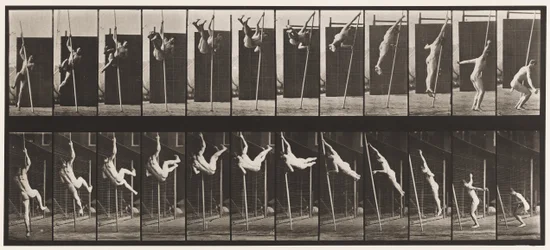 Planche 165. Saut; Saut à la perche