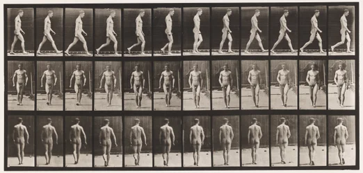 Planche 1. Marche