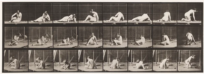Planche 266. Se tourner et changer de position tout en restant au sol