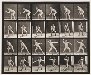 Planche 283. Base-ball ; attraper et lancer, 1885