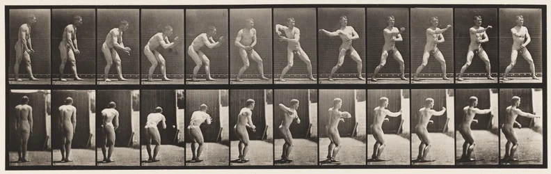 Planche 285. Base-ball; Attraper et lancer